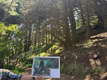 One of the "Lord of the Rings" filming locations on Mt. Victoria, Wellington, New Zealand.