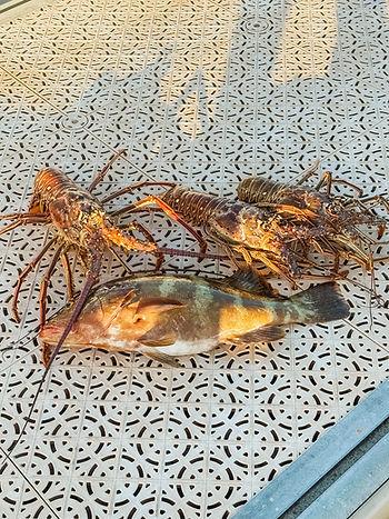Grouper and fresh-caught lobster for the final night on the island.  Image by Katherine Rose Woller.