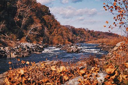 Arlington, Virginia.  Image by Photo Viviana Camacho