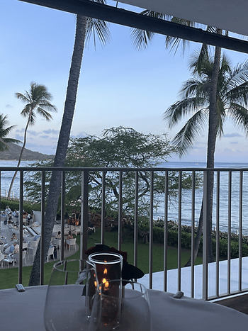 palm trees on Hawaiian beach