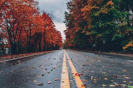 It's time to enjoy the colors of fall. Image by Craig Adderley.